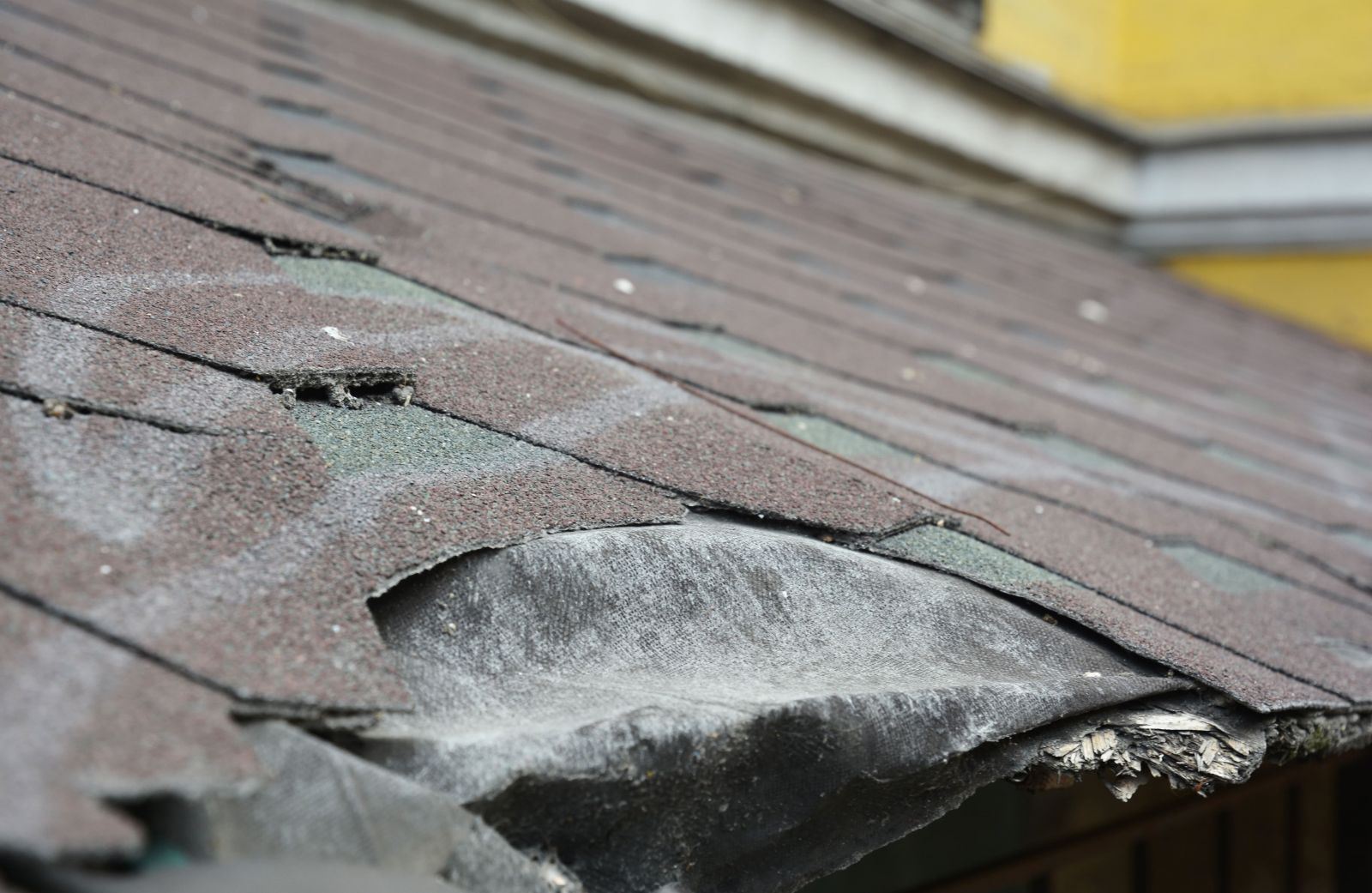 Allsite Roofing LLC Images